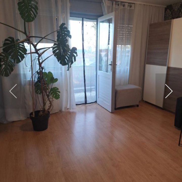 43zsejjs