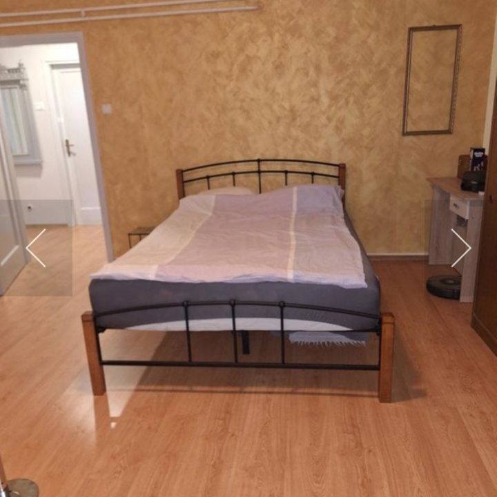 jdzjdjs